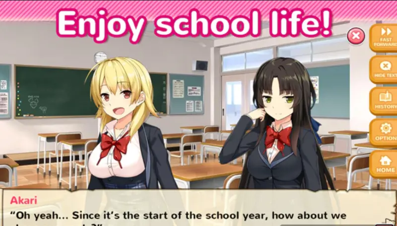 Girls Private School APK