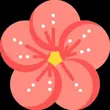 Cinebloom APK