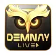 Demnaylive APK